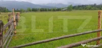 Teren extravilan, 6200 mp, zona Saru Dornei - Vatra Dornei 