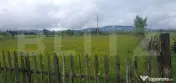 Teren extravilan, 6200 mp, zona Saru Dornei - Vatra Dornei 