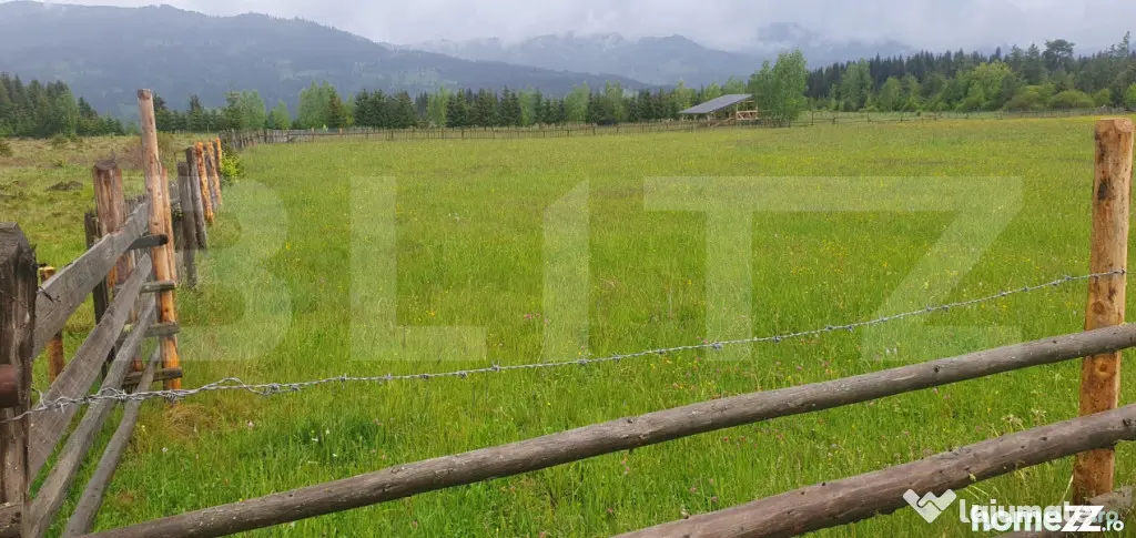 Teren extravilan, 6200 mp, zona Saru Dornei - Vatra Dornei - Vatra Dornei (Suceava)