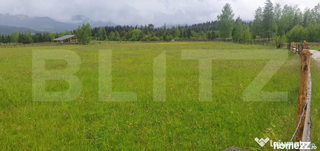 Teren extravilan, 6200 mp, zona Saru Dornei - Vatra Dornei - Vatra Dornei (Suceava)