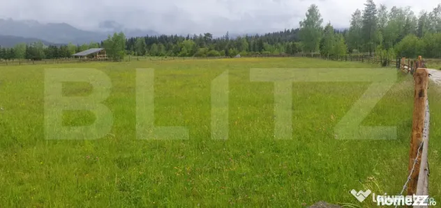 Teren extravilan, 6200 mp, zona Saru Dornei - Vatra Dornei - Vatra Dornei (Suceava)