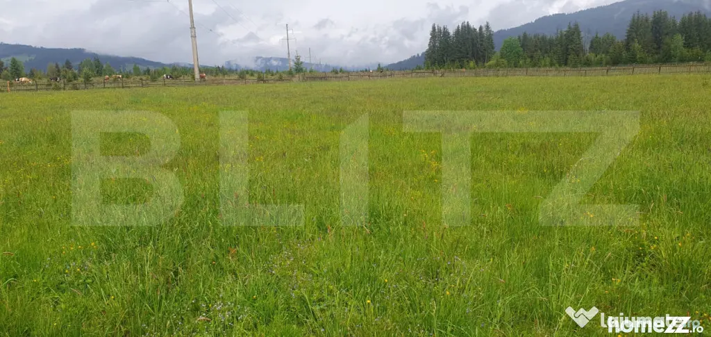 Teren extravilan, 6200 mp, zona Saru Dornei - Vatra Dornei - Vatra Dornei (Suceava)