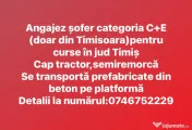 Angajez sofer cat C+E curse locale Timișoara 