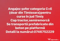 Angajez sofer cat C+E curse locale Timișoara