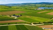 FILM! 18.000 mp, extravilan, agricol constructii:ferma,inve 