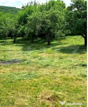 Teren intravilan 1.518 mp în Feleacu – Confort, natură 