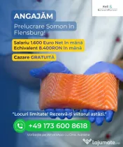 Angajǎm personal în Germania la Prelucrare de somon! 