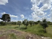 Teren cu livada si la populat cu peste, 37.620 mp, zona Oar 