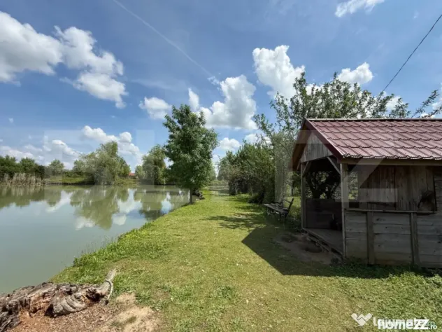 Teren cu livada si lac populat cu peste, 37.620 mp, zona Oar - Vetis (Satu-Mare)