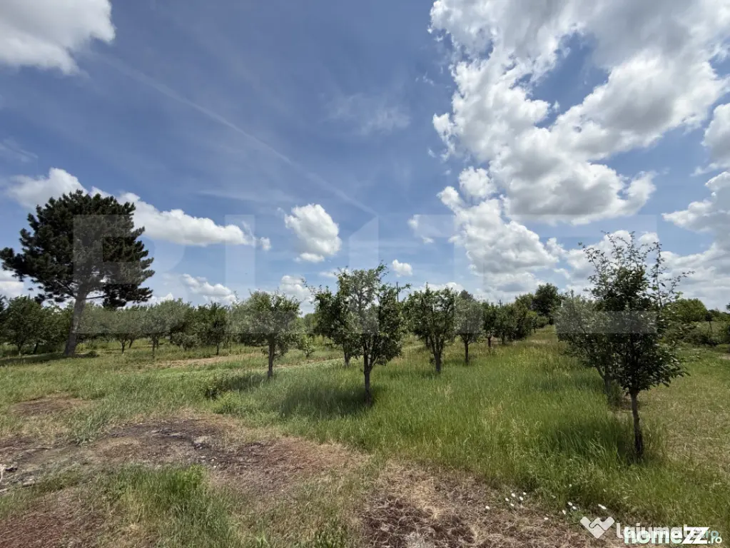Teren cu livada si lac populat cu peste, 37.620 mp, zona Oar - Vetis (Satu-Mare)