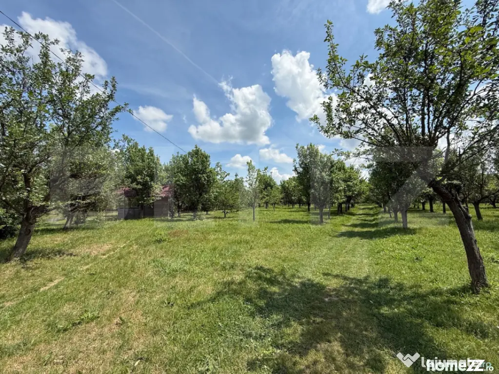 Teren cu livada si lac populat cu peste, 37.620 mp, zona Oar - Vetis (Satu-Mare)