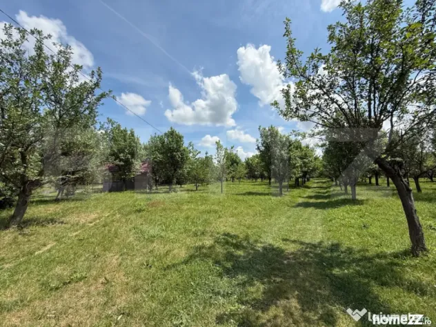 Teren cu livada si lac populat cu peste, 37.620 mp, zona Oar - Vetis (Satu-Mare)