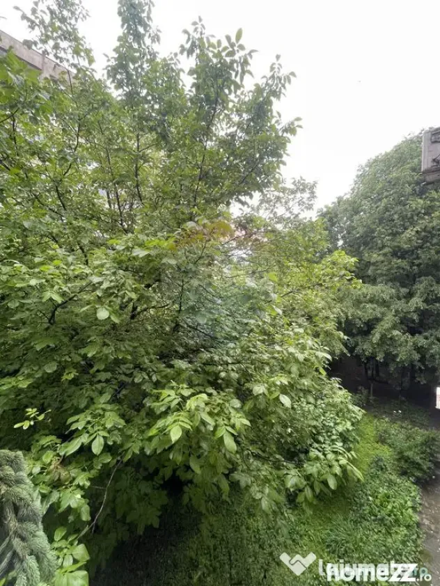 Apartament 3 camere etaj 1, Bd Obregia, Vatra Dornei