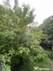 Apartament 3 camere etaj 1, Bd Obregia, Vatra Dornei