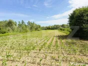 Casa Darmanesti, 66 ari teren, deschidere 55m 