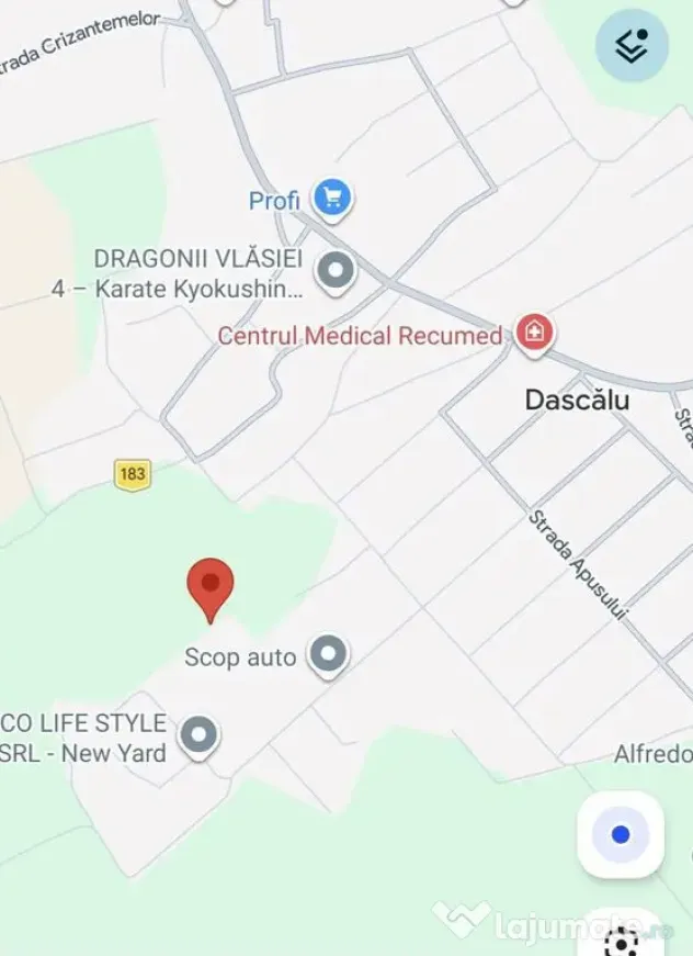 Teren intravilan 9800 mp - Dascalu - locuinte individuale
