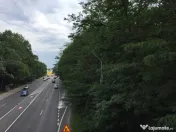 Teren DN1 - Padurea Petresti