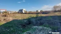 Teren Otopeni - Complexul Sportiv de Natatie