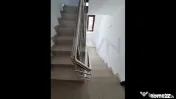 Spatiu de birouri in vila l zona Victoriei 
