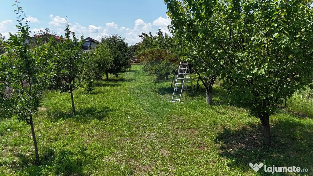 Casă batraneasca cu 3 camere-Oportunitate de Investiție...