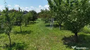 Casă batraneasca cu 3 camere-Oportunitate de Investiție...
