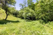 Moieciu de Jos |Teren 11.381 mp | Panoramă, potențial t...