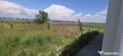 Hala de vanzare in Floresti