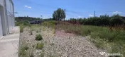 Hala de vanzare in Floresti
