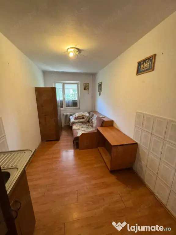 Camera de camin Valea Rosie