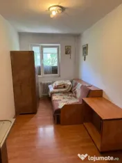 Camera de camin Valea Rosie
