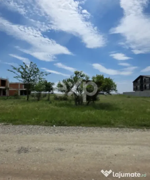 Teren intravilan 1.500 mp | Deschidere 25 ml | Utilități l