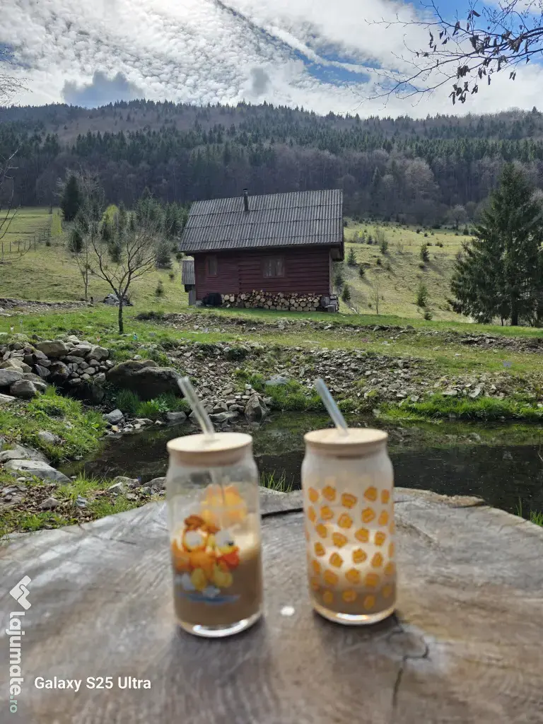 Teren zona Valea Draganului 8000mp