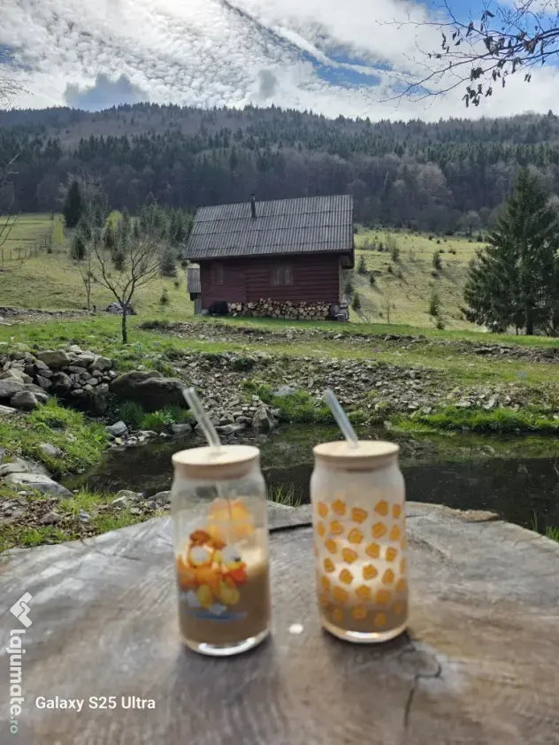 Teren zona Valea Draganului 8000mp