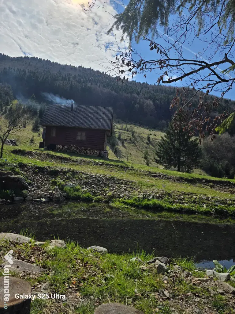 Teren zona Valea Draganului 8000mp