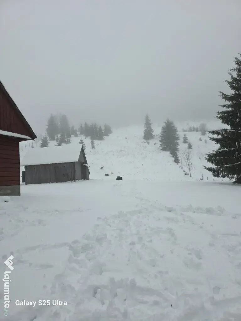 Teren zona Valea Draganului 8000mp