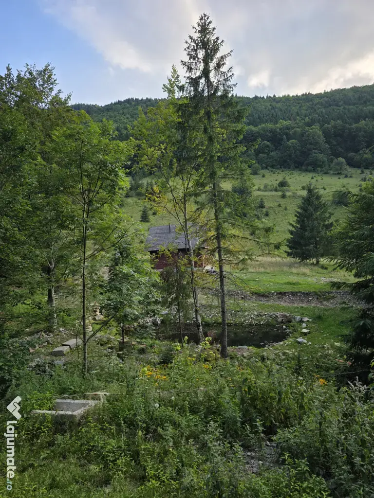 Teren zona Valea Draganului 8000mp