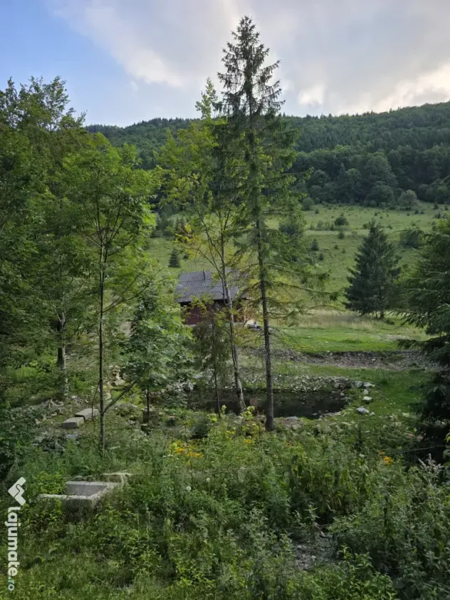 Teren zona Valea Draganului 8000mp