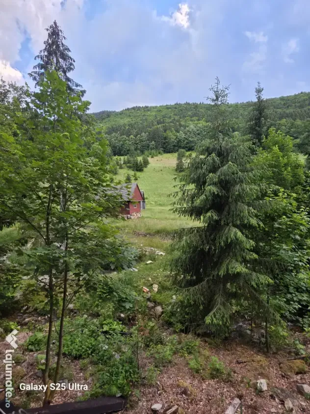 Teren zona Valea Draganului 8000mp
