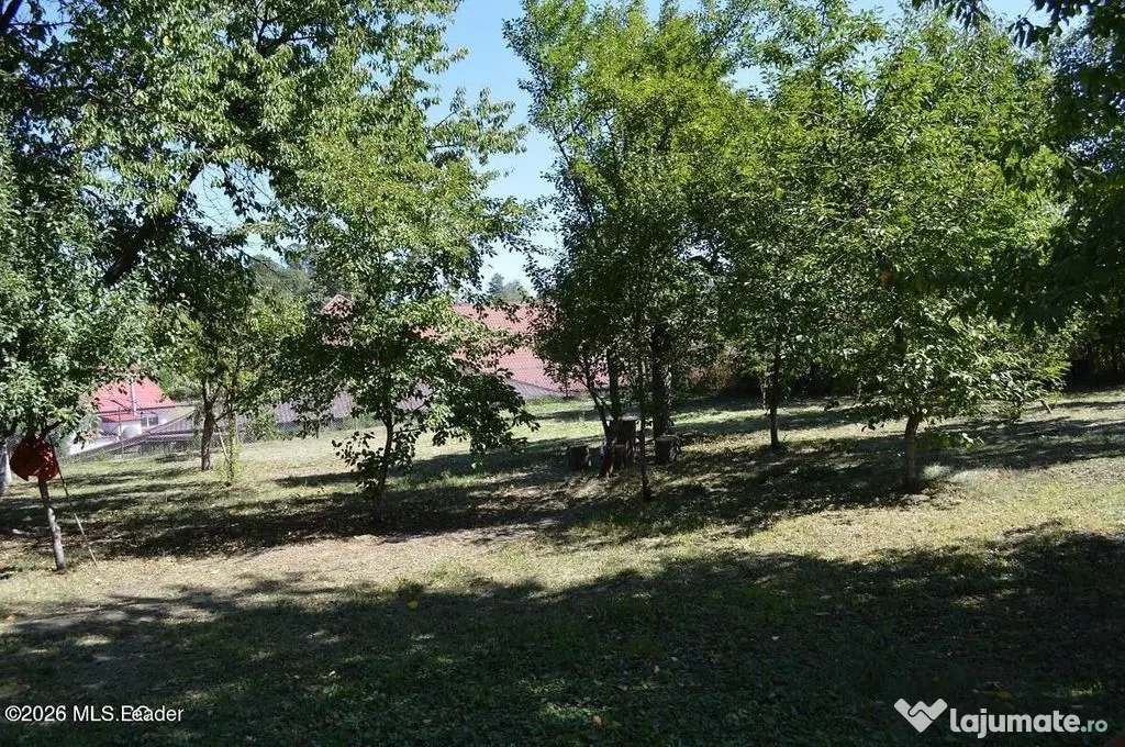 Curtea de Arges - Ultracentral - Casa autentica 180 mp, T...