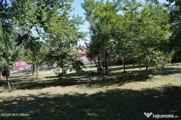Curtea de Arges - Ultracentral - Casa autentica 180 mp, T...