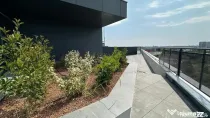 Penthouse Pipera