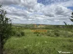 TEREN INTRAVILAN | 1.824 MP | DEALURI | ORADEA