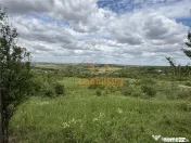 TEREN INTRAVILAN | 1.824 MP | DEALURI | ORADEA 