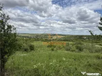TEREN INTRAVILAN | 1.824 MP | DEALURI | ORADEA