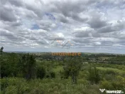 TEREN INTRAVILAN | 1.824 MP | DEALURI | ORADEA 