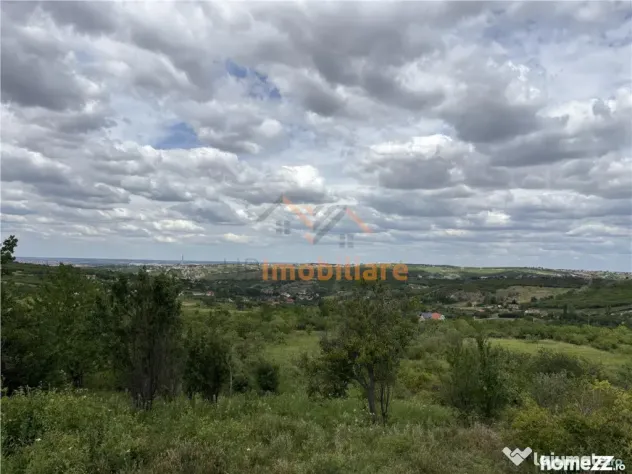 TEREN INTRAVILAN | 1.824 MP | DEALURI | ORADEA