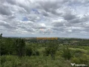 TEREN INTRAVILAN | 1.824 MP | DEALURI | ORADEA 