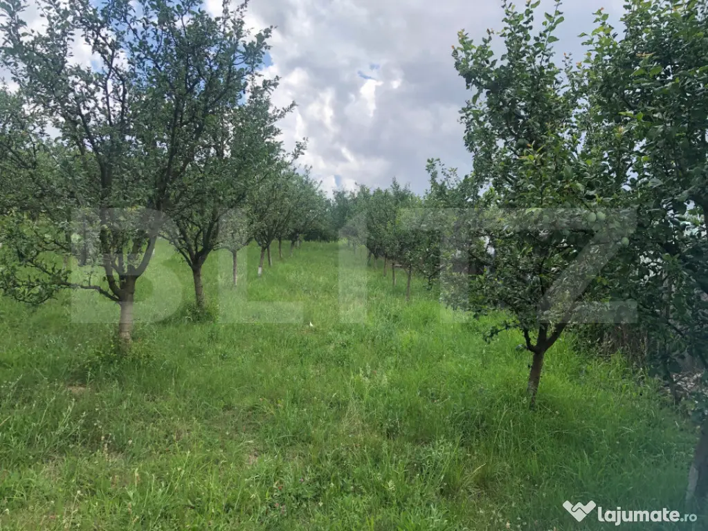 Teren de vânzare cu cabana și livada zona Viile Satu Mare