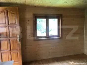 Teren de vânzare cu cabana și livada zona Viile Satu Mare