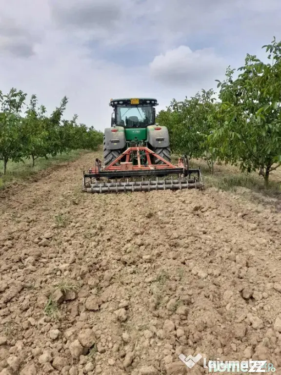 Plantatie de nuci pe rod, 14 ha, 2.000 pomi